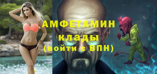 спиды Бородино