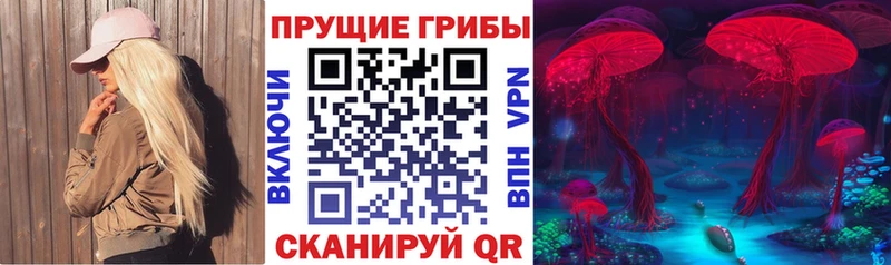 Купить закладки  Дегтярск  Псилоцибиновые грибы мухоморы 