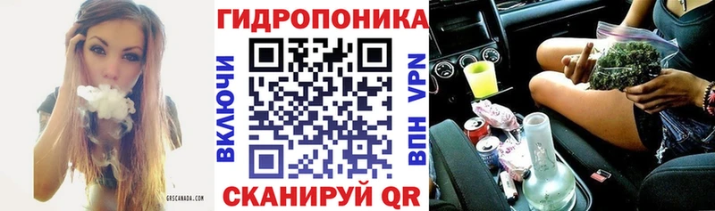 Канабис OG Kush Дегтярск